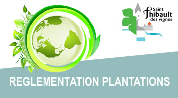 stv_reglementation-plantations