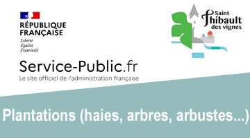 stv_service-public_plantations