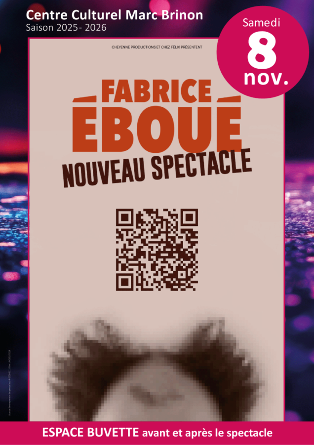 Spectacle Fabrice Eboue