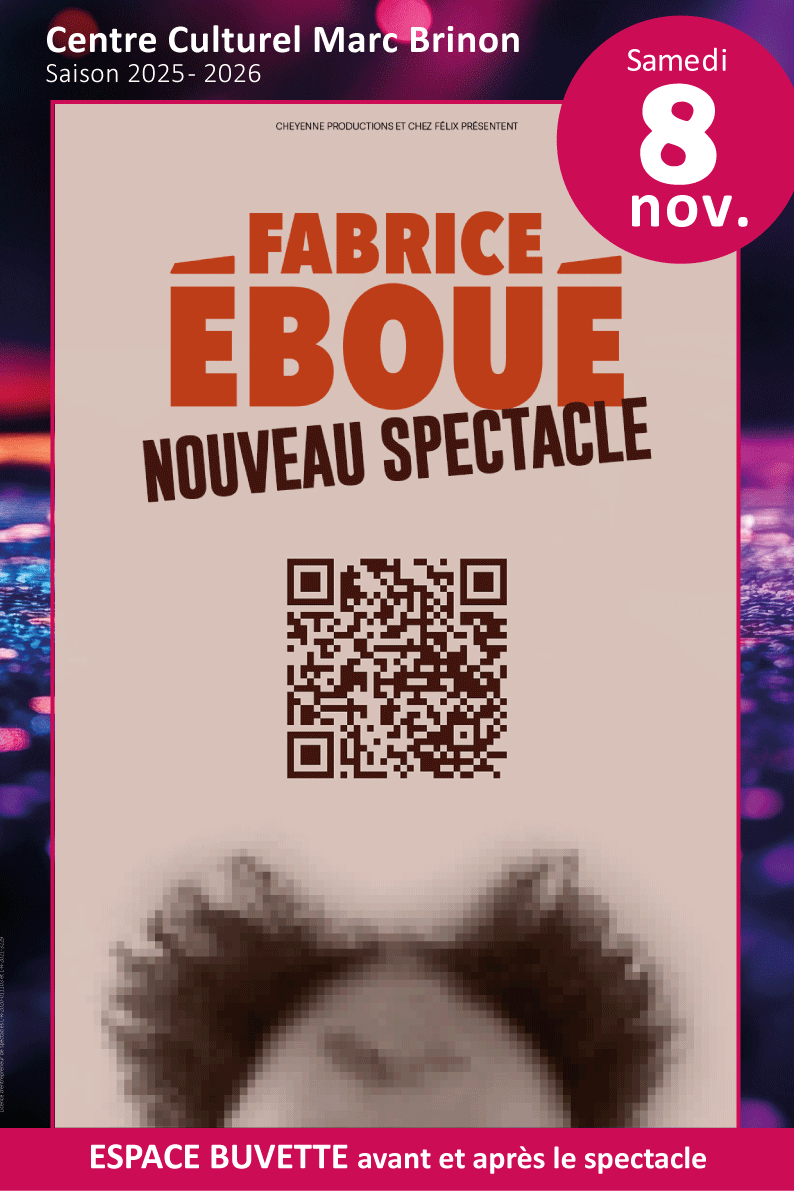 Spectacle Fabrice Eboue