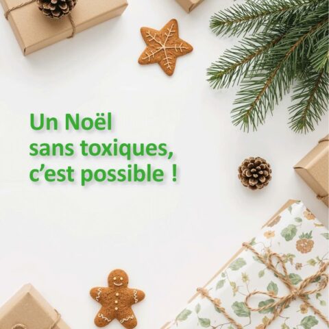 Perturbateurs endocriniens Noël